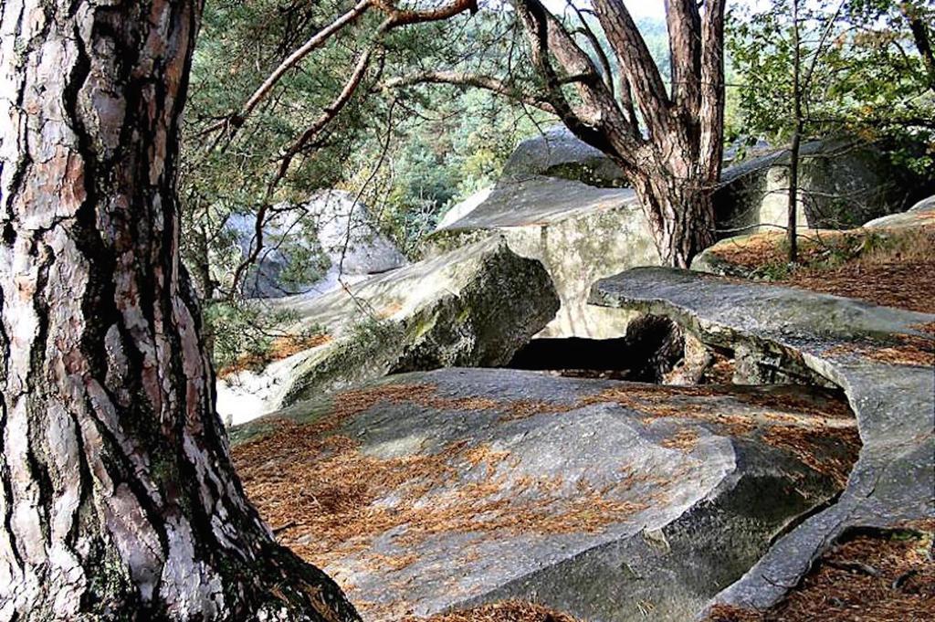 Fontainebleau Sweet Home ภายนอก รูปภาพ